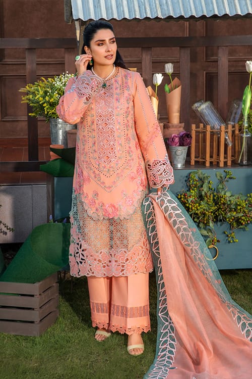Rang Rasiya Embroidered Chikankari Luxury Lawn Collection- Teapink & Seagreen