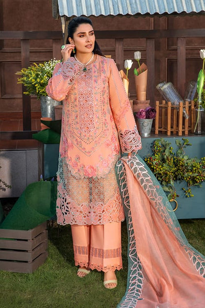 Rang Rasiya Embroidered Chikankari Luxury Lawn Collection- Teapink & Seagreen