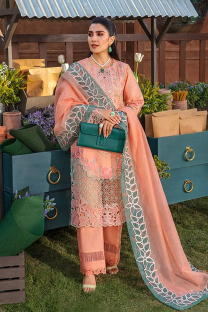 Rang Rasiya Embroidered Chikankari Luxury Lawn Collection- Teapink & Seagreen