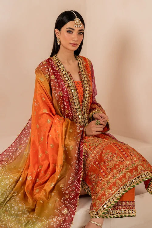 Baroque Luxury Chiffon Formal Wedding Collection- Mehndi Vibes