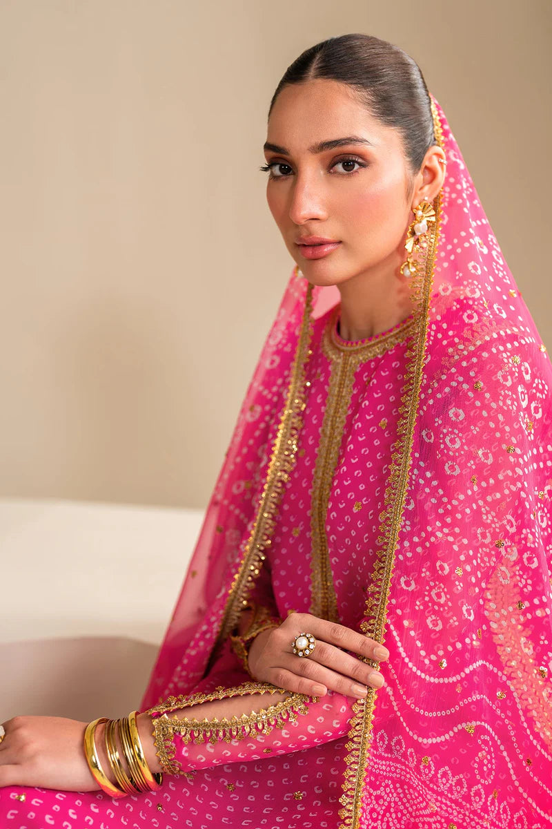 Baroque Luxury Formal Wedding Chiffon Collection - PINK Chunri
