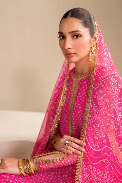 Baroque Luxury Formal Wedding Chiffon Collection - PINK Chunri