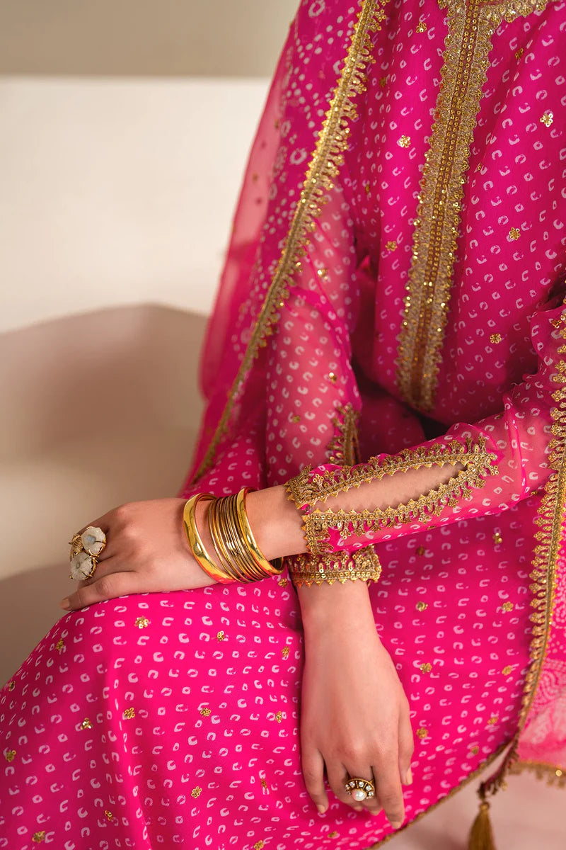Baroque Luxury Formal Wedding Chiffon Collection - PINK Chunri