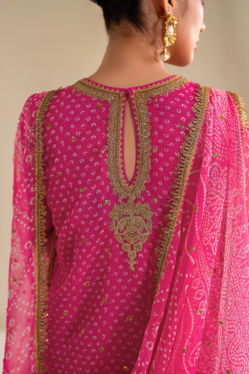 Baroque Luxury Formal Wedding Chiffon Collection - PINK Chunri
