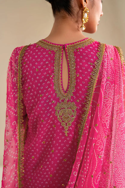 Baroque Luxury Formal Wedding Chiffon Collection - PINK Chunri
