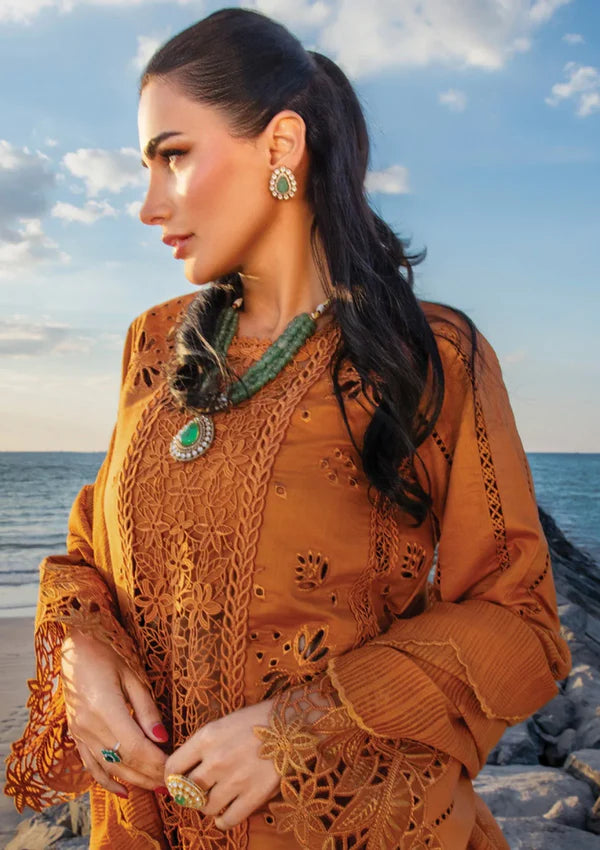 Rang Rasiya Lawn Chikankari Luxury Embroidered 3
