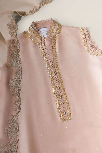 AGHA NOOR COLLECTION 2K24
